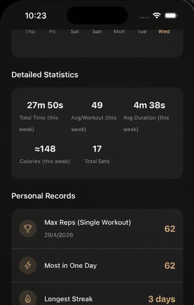 Detailed Statistics and Personal Records in Push Up Counter with the week's totals and the best single workout